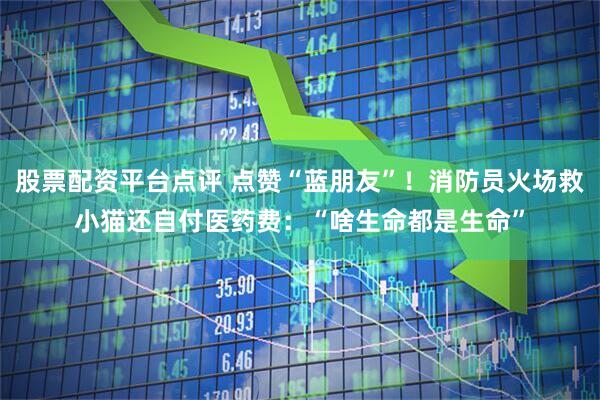 股票配资平台点评 点赞“蓝朋友”！消防员火场救小猫还自付医药费：“啥生命都是生命”