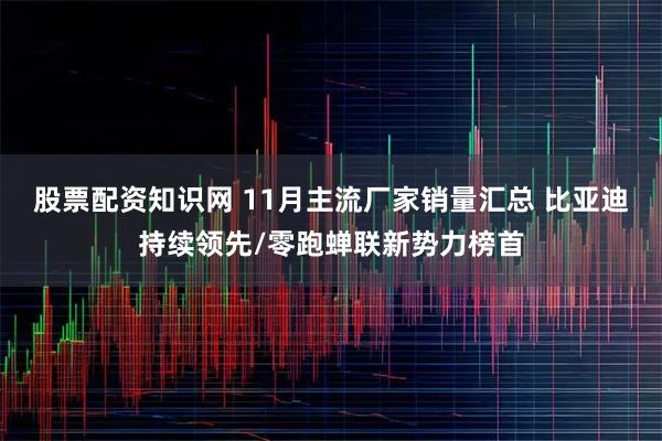 股票配资知识网 11月主流厂家销量汇总 比亚迪持续领先/零跑蝉联新势力榜首