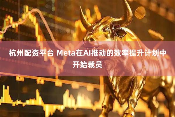 杭州配资平台 Meta在AI推动的效率提升计划中开始裁员